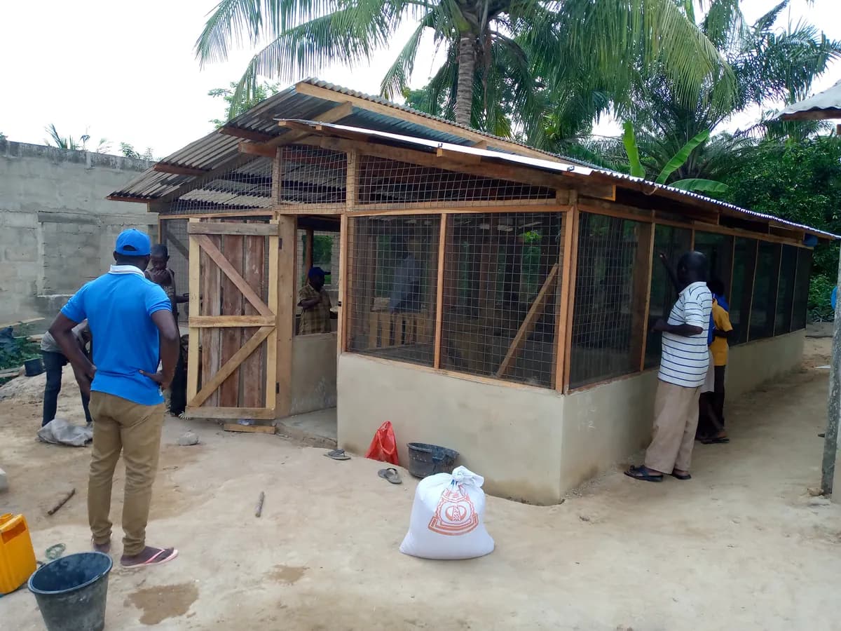 Poultry Coop Construction