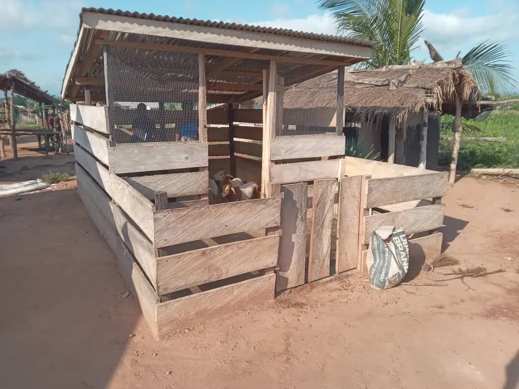 MiDA Project - Alternative Livelihoods